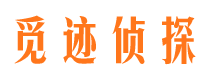 海原市侦探调查公司